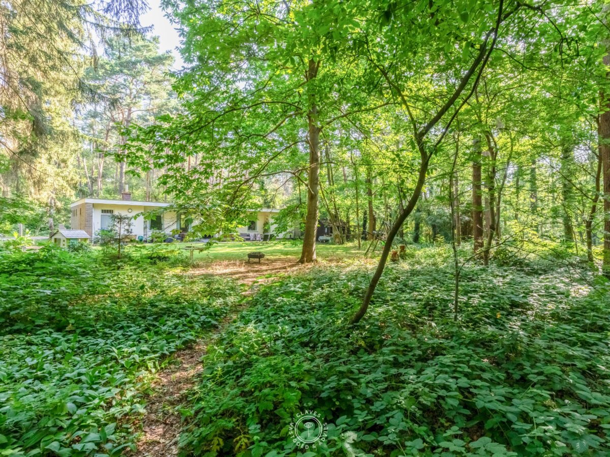Potentiële parel om betoverend te wonen