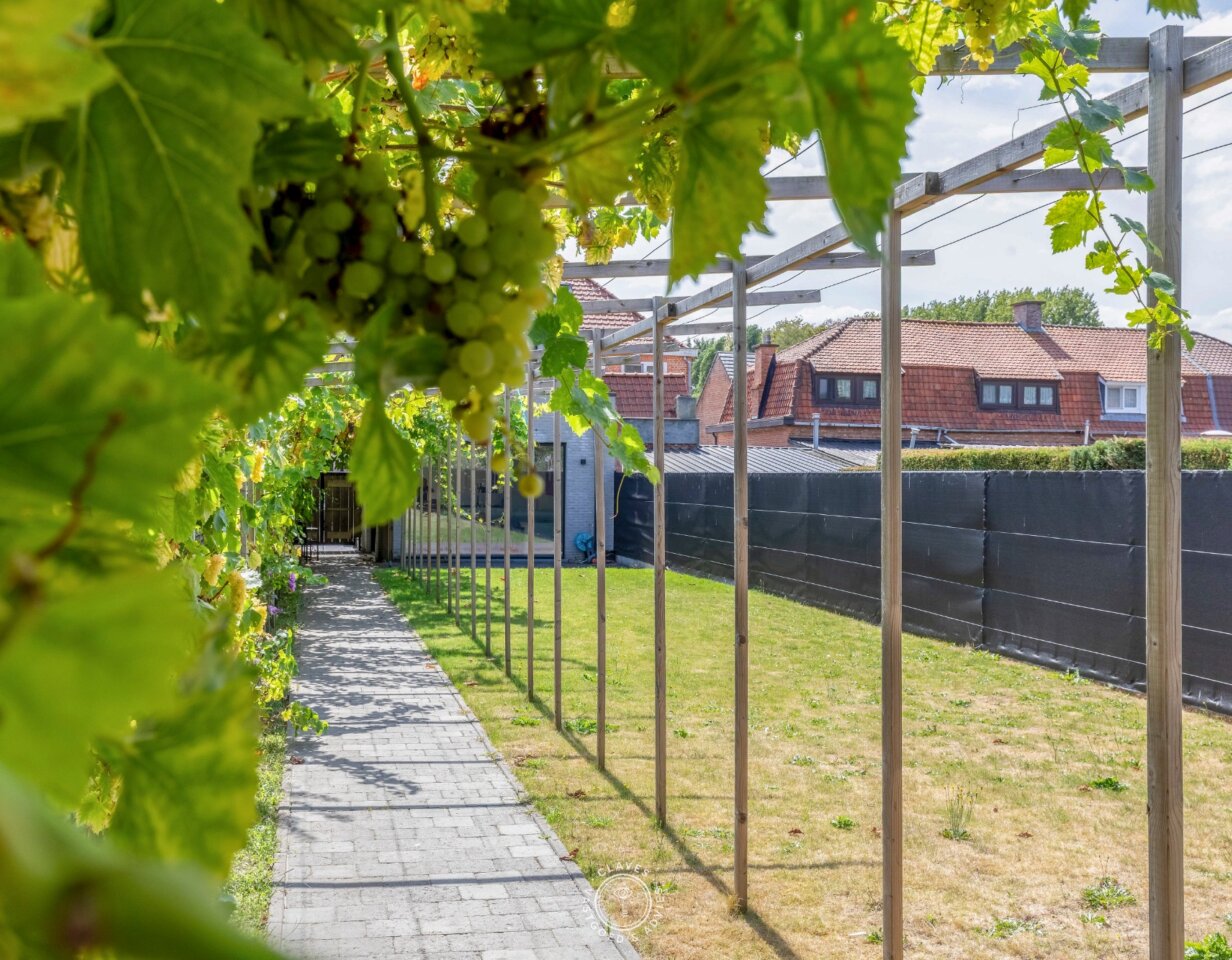 Volledig vernieuwde halfopen bebouwing in het geliefde Nieuwkerken