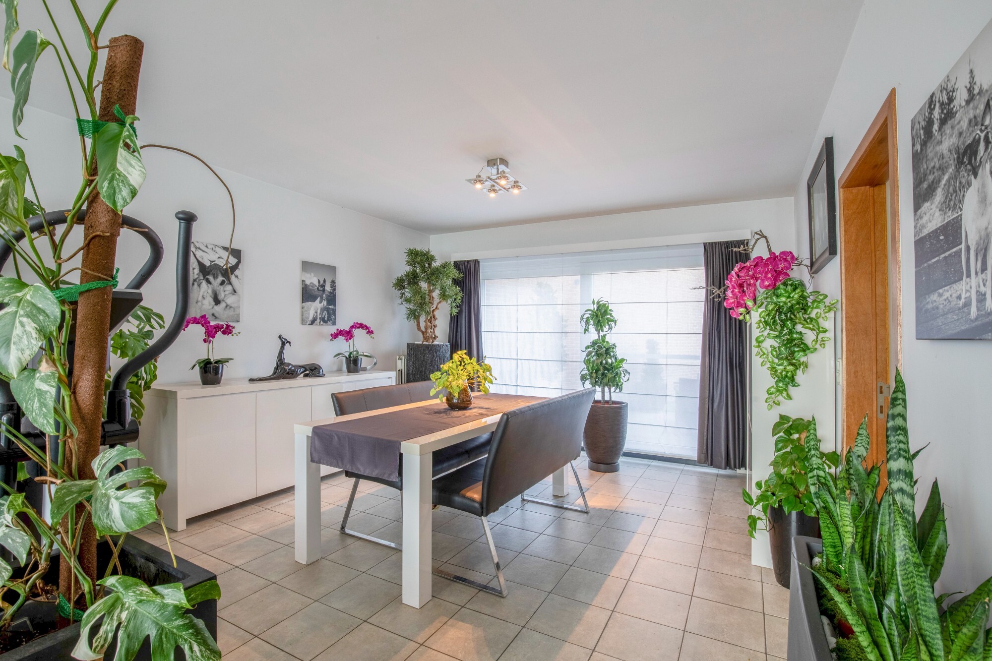 Instapklare gezinswoning met 3 slaapkamers, garage en verrassend ruime tuin in Sint-Niklaas